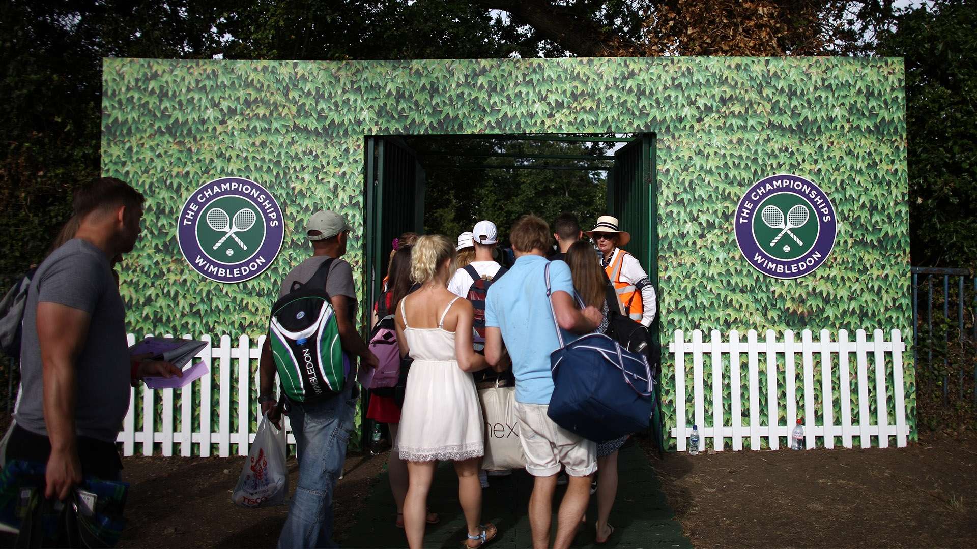 球迷的看法 球迷的看法